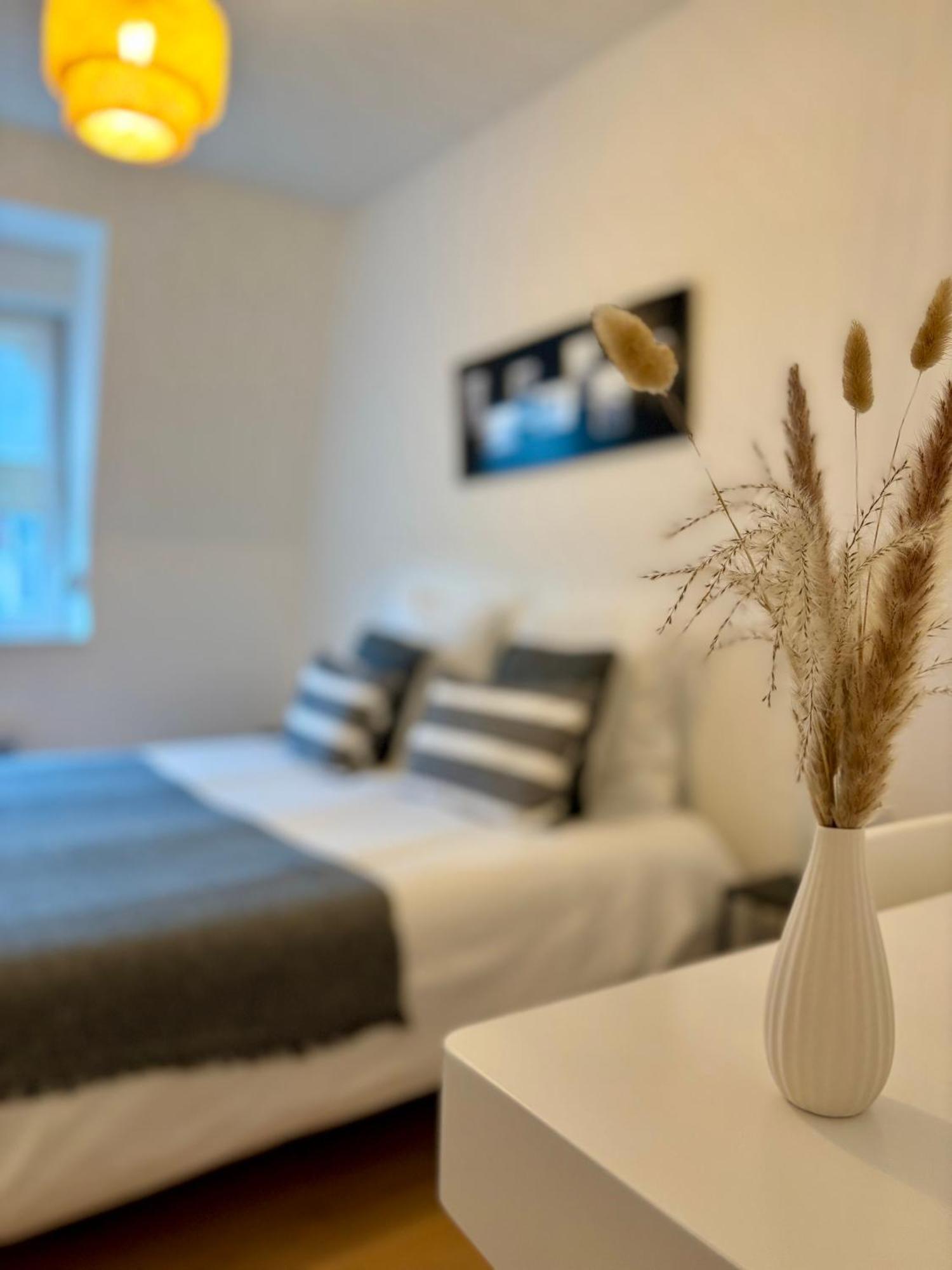 Experience Malouine - Appt T3-Coeur De Malo-Plage 敦刻尔克 外观 照片